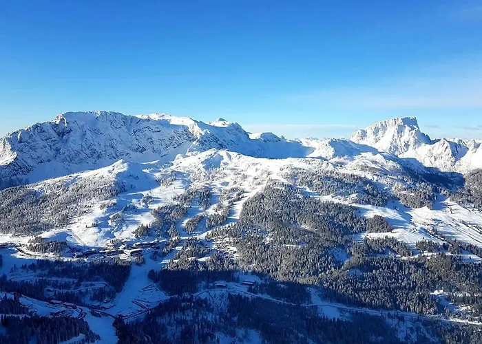 Apartment Schoba Typ A