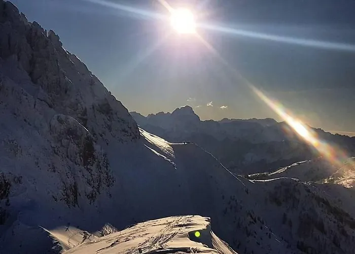 Schoba Typ A Apartment